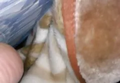نوجوان زرق و برق دار جینا والنتینا از سوار شدن به یک دیک بزرگ سیاوش دلسوز جدید لذت می برد